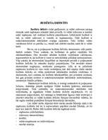 Referāts 'Valsts budžets', 7.