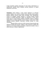 Referāts 'Valsts budžets', 10.