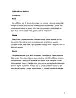 Konspekts 'Krētas, Mikēnu un etrusku kultūras salīdzinājums', 6.