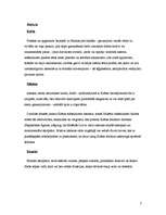 Konspekts 'Krētas, Mikēnu un etrusku kultūras salīdzinājums', 7.