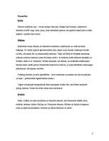 Konspekts 'Krētas, Mikēnu un etrusku kultūras salīdzinājums', 8.