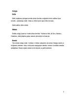 Konspekts 'Krētas, Mikēnu un etrusku kultūras salīdzinājums', 9.