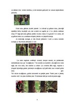 Referāts 'Koka gāšanā izmatojamās mašīnas un tehnoloģijas', 9.