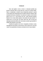 Referāts 'Koka gāšanā izmatojamās mašīnas un tehnoloģijas', 13.