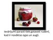 Prezentācija 'Augļu - ogu konditorejas izstrādājumi', 6.