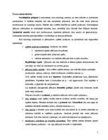 Konspekts 'Socioloģija', 7.