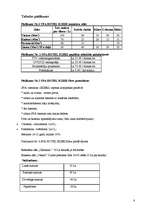 Referāts 'Darbs mārketingā: izveidot viesnīcu', 8.