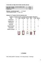 Referāts 'Darbs mārketingā: izveidot viesnīcu', 9.