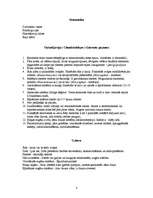 Konspekts 'Rajas', 3.