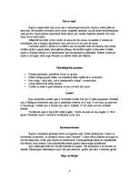 Konspekts 'Rajas', 4.