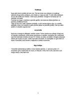 Konspekts 'Rajas', 6.