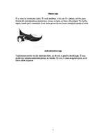 Konspekts 'Rajas', 7.