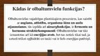 Prezentācija 'Olbaltumvielas', 5.