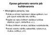 Prezentācija 'Eposi', 2.