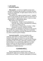 Referāts 'Ekonomika', 6.