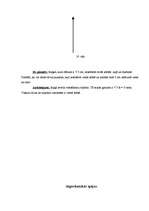 Referāts 'Ģeometriskās iztēles spējas', 8.