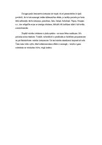 Referāts 'Apskats par romānu "Čaks"', 3.