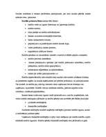 Referāts 'Kredīti', 2.