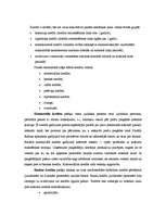 Referāts 'Kredīti', 4.