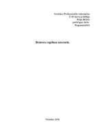 Konspekts 'Draiveru iegūšanas iespējas internetā', 1.