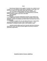 Konspekts 'Draiveru iegūšanas iespējas internetā', 2.