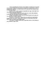 Konspekts 'Draiveru iegūšanas iespējas internetā', 6.