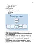 Konspekts 'Valsts pārvaldes efektivitāte. Salīdzinājumā unitāra valsts un federāla valsts', 2.