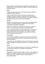 Referāts 'Kaitīgās vielas kosmētikā', 3.