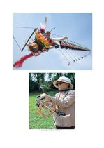 Referāts 'Ķīniešu tradīcija - gaisa pūķi', 6.