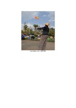 Referāts 'Ķīniešu tradīcija - gaisa pūķi', 7.