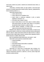 Diplomdarbs 'Grāmatvedības uzskaites pilnveidošana uzņēmumā', 13.