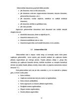 Diplomdarbs 'Grāmatvedības uzskaites pilnveidošana uzņēmumā', 18.