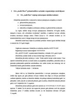 Diplomdarbs 'Grāmatvedības uzskaites pilnveidošana uzņēmumā', 19.