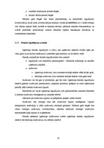 Diplomdarbs 'Grāmatvedības uzskaites pilnveidošana uzņēmumā', 29.