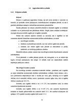 Diplomdarbs 'Grāmatvedības uzskaites pilnveidošana uzņēmumā', 30.