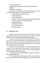 Diplomdarbs 'Grāmatvedības uzskaites pilnveidošana uzņēmumā', 37.