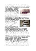 Referāts 'Vēstures notikumi un cilvēku likteņstāsti', 3.