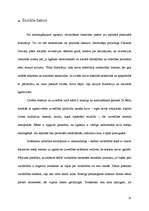 Referāts 'Agresija', 25.