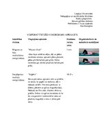 Konspekts 'Vingrojumu komplekss, imitācija', 1.