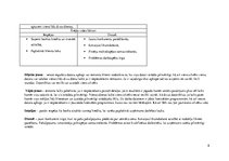 Biznesa plāns 'Biznesa plāns SIA "Datori"', 8.