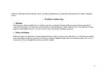 Biznesa plāns 'Biznesa plāns SIA "Datori"', 13.