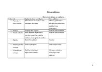 Biznesa plāns 'Biznesa plāns SIA "Datori"', 14.