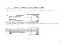 Biznesa plāns 'Biznesa plāns SIA "Datori"', 16.