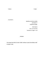 Paraugs 'Dokumentu paraugi', 9.