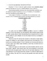 Referāts 'Zīmola nozīme automašīnu biznesā', 7.