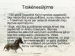 Prezentācija 'Zirgu audzēšana Latvijā', 9.