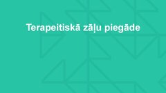 Prezentācija 'Molekulārie motori, to pielietojuma iespējas medicīnā', 13.