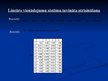 Prezentācija 'Patstāvīgie darbi skaitliskās metodēs', 13.