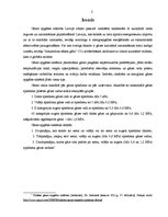 Referāts 'Gāzes apgādes pakalpojumu nozares attīstība Latvijā 21.gadsimtā', 2.