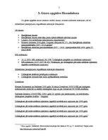 Referāts 'Gāzes apgādes pakalpojumu nozares attīstība Latvijā 21.gadsimtā', 5.